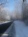 Foto vom Album: Winterimpressionen aus dem Schradenland