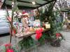 Foto vom Album: Weihnachtsmarkt in der Dahmer Innenstadt