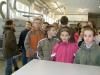 Foto vom Album: Unterrichtsgang der Klasse 5