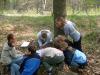 Foto vom Album: Waldspiele 