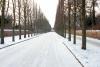 Fotoalbum Erster Schnee im Park Sanssouci