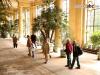 Foto vom Album: Ausfahren der Pflanzen an der Orangerie im Park Sanssouci