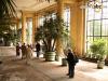 Foto vom Album: Ausfahren der Pflanzen an der Orangerie im Park Sanssouci