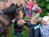Foto vom Album: Kindertag mit vielen Tieren
