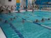 Foto vom Album: Schwimmkurs 2010