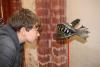 Foto vom Album: Fische-Ausstellung