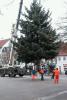 Foto vom Album: Aufstellen des Weihnatsbaumes auf dem Wittstocker Markt 2010