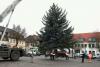 Foto vom Album: Aufstellen des Weihnatsbaumes auf dem Wittstocker Markt 2010