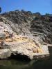 Foto vom Album: Donis Portugal