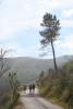 Foto vom Album: Donis Portugal