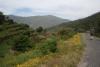 Foto vom Album: Donis Portugal