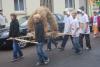 Foto vom Album: Erntefest 2011/Umzug