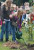 Foto vom Album: Erntefest 2011/Buntes Treiben im Park
