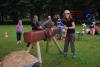 Foto vom Album: Erntefest 2011/Buntes Treiben im Park 2