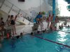 Foto vom Album: Schwimmkurs 2012  / Album 2