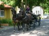 Foto vom Album: Namensgebung 2008