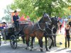 Foto vom Album: Namensgebung 2008