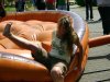 Foto vom Album: Namensgebung 2008
