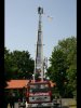 Foto vom Album: Namensgebung 2008