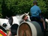 Foto vom Album: Namensgebung 2008