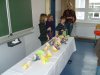 Foto vom Album: Projekt "Alt und Jung" der Klassen 3a,b