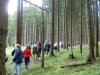 Spuren des Altbergbaus im Biwender Wald
