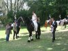 die Braut und ihr Pferd