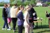 Foto vom Album: Sportfest 2013
