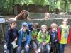 Foto vom Album: Wandertag Klasse Flex B Tierpark Perleberg