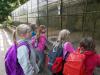 Foto vom Album: Wandertag Klasse Flex B Tierpark Perleberg
