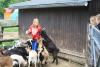 Foto vom Album: Klassenabschlussfahrt der 6. Klasse