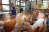 Foto vom Album: Einschulung in der Hennickendorfer Grundschule "Am Stienitzsee"