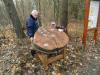 Foto vom Album: 165-jährige Baumscheibe am Naturlehrpfad