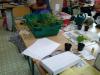 Foto vom Album: Sachkundeunterricht Klasse 5 - Samenpflanzen