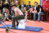 Foto vom Album: 2014 TSG Sommerfest