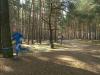 Foto vom Album: 4. Crosslauf