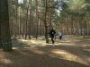 Foto vom Album: 4. Crosslauf