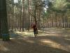 Foto vom Album: 4. Crosslauf