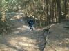 Foto vom Album: 4. Crosslauf