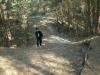 Foto vom Album: 4. Crosslauf