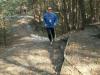 Foto vom Album: 4. Crosslauf