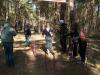 Foto vom Album: 4. Crosslauf