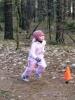 Foto vom Album: 4. Crosslauf