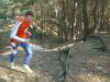 Foto vom Album: 4. Crosslauf