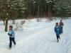 Foto vom Album: 1. Crosslauf