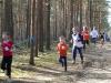 Foto vom Album: Waldlauf