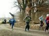 Foto vom Album: 1. Crosslauf