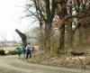 Foto vom Album: 1. Crosslauf