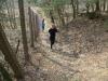 Foto vom Album: 2. Crosslauf