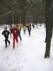 Foto vom Album: 2. Crosslauf vom